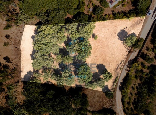 Bombarral, Leiria District