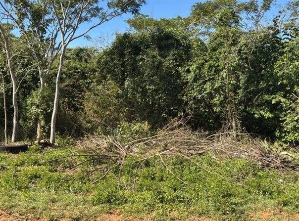 Lugar denominado Pindolo s/n, , Areguá, Central, Aregua, Central