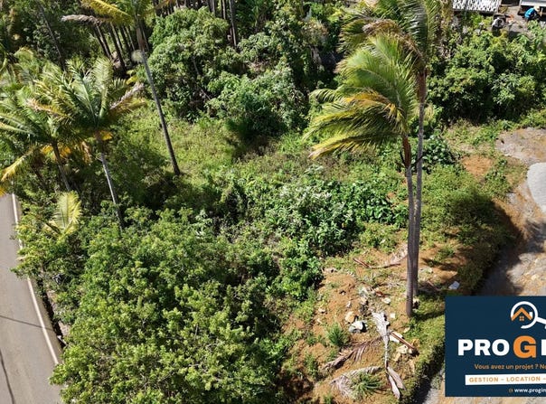 Petite-Île, Reunion 97429