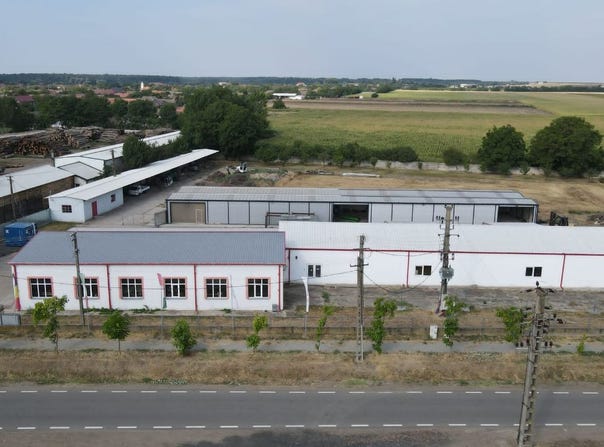 Pecica, Arad County