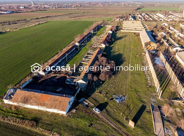 Nadlac, Arad County 315500