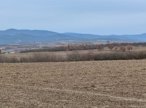 Arad, Arad, Arad County