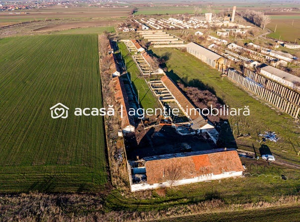 Nadlac, Arad County 315500