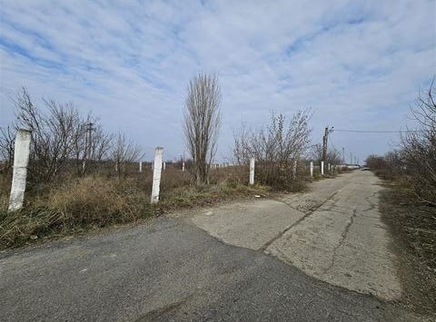 Ozanei, Harsova, Constanta