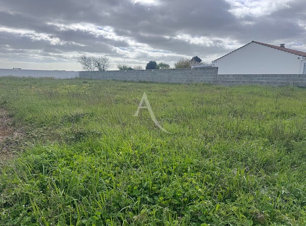 ANGLES, Pays de la Loire 85750