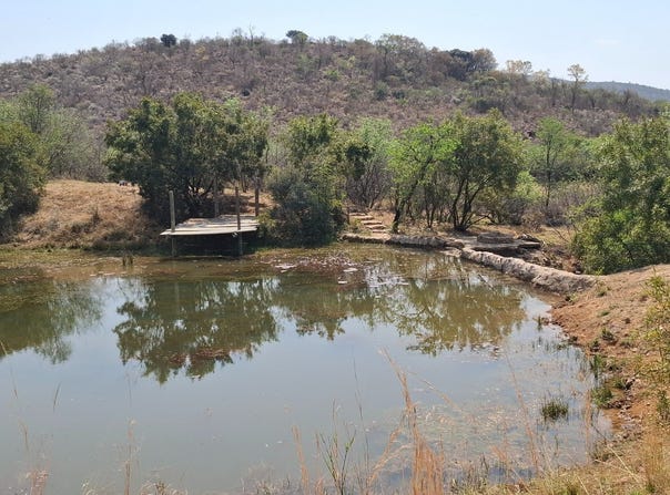 Bela Bela, Limpopo 480