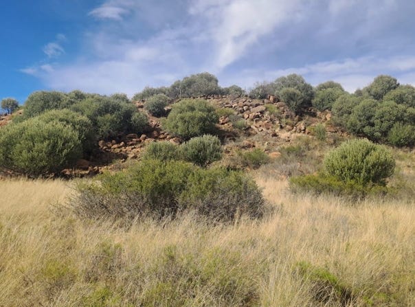 Bainsvlei, Free State 9338