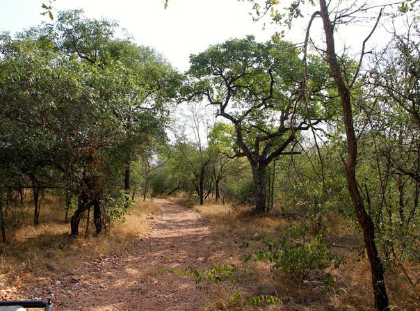 Liverpool, Mpumalanga 1380