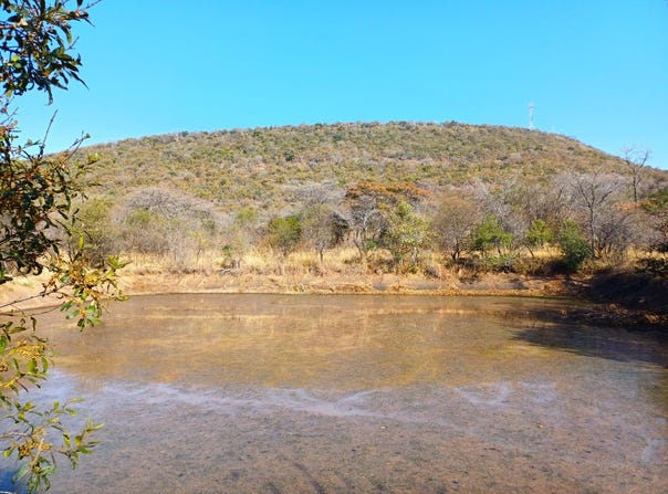 Sterkrivier AH, Limpopo 600