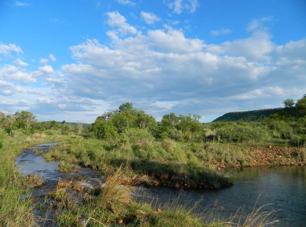 Modimolle, Limpopo 510