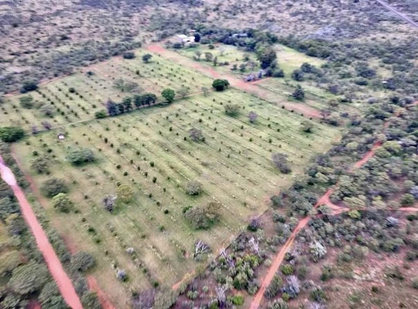 Cullinan, Gauteng 1000