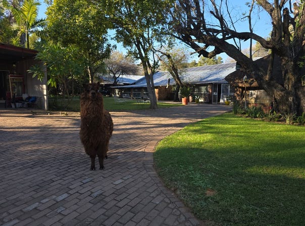 Bela Bela, Limpopo 480