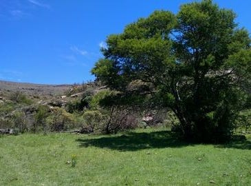 Sterkstroom, Eastern Cape 5425
