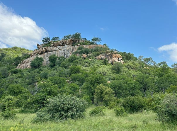 Selati Game Reserve, Limpopo 895