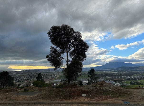 Mountainside, Western Cape 7150