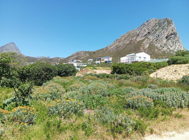Ixia Road 71, Rooi Els, Western Cape 7196