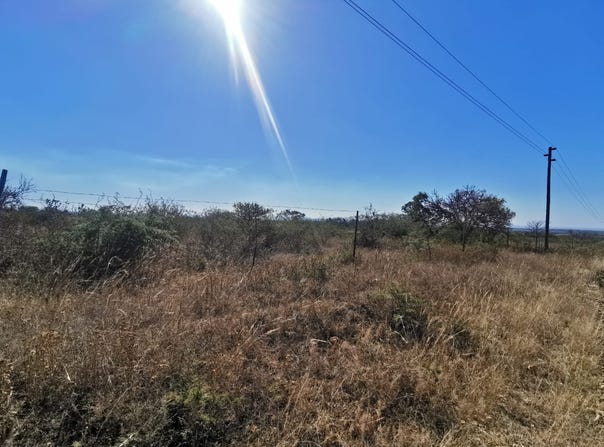 Tweefontein AH, Limpopo 699