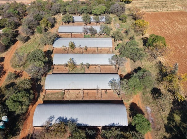 Bela Bela, Limpopo 480