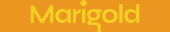Marigold