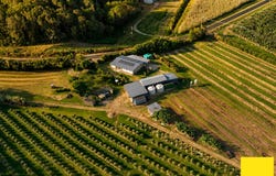 430 Cowley Beach Road, Lower Cowley, Qld 4871