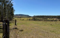 284 Tabulam Road, Lower Bottle Creek, NSW 2469