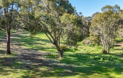 35 Endicott Loop, Dunsborough, WA 6281