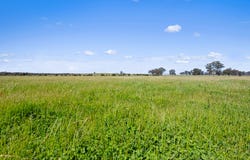 Tattersalls Lane, Moormbool West, Vic 3523