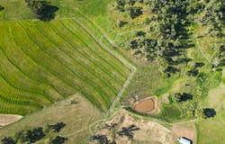 1554 Duck Creek Road, Kerry, Qld 4285
