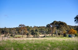 220 Mcdonalds Road, Clunes, Vic 3370