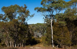 74 Mulwaree Drive, Tallong, NSW 2579