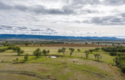 823 Eulourie Road, Bingara, NSW 2404