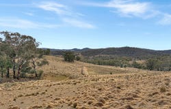 20 Good Good Road, Jerangle, NSW 2630