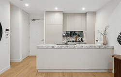 BG02/165 Milton Street, Ashbury, NSW 2193