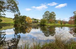 155 Beards Track, Shady Creek, Vic 3821