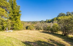 171 Glenwarrin Road, Elands, NSW 2429