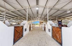 3272 Beaudesert Nerang Road, Biddaddaba, Qld 4275