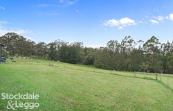 21 Castle Street, Mirboo North, Vic 3871