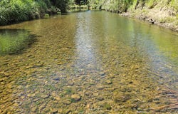 162 East Funnel Creek Road, Sarina Range, Qld 4737