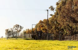 1174 Lachlan Valley Way, Bowning, NSW 2582