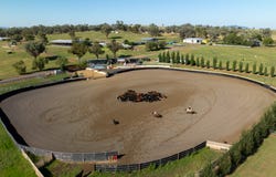 95 Spains Lane, Tamworth, NSW 2340