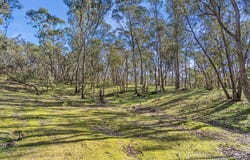CA 42 Diamond Gully Road, Campbells Creek, Vic 3451