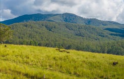 40 Ready Money Road, Upper Rollands Plains, NSW 2441