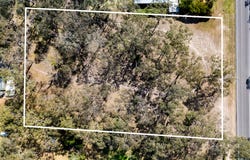41 Rosebank Drive, Wallalong, NSW 2320