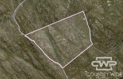 1478 Silent Grove Road, Torrington, NSW 2371