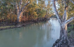319 Balranald Road, Moulamein, NSW 2733