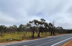 22, Great Southern Highway, Broomehill West, WA 6318