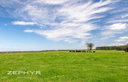 195 Gunn Road, Drome, WA 6330