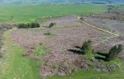 34 Ikes Mountain Road, Mannus, NSW 2653