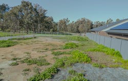 Lot 556, 63 Huntington Grove, Thurgoona, NSW 2640