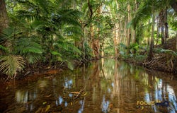 95 Ching Creek Rd, Sarina, Qld 4737